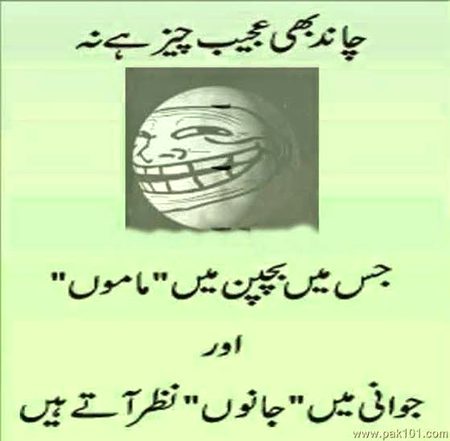 Memes & Satire image