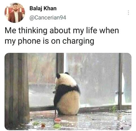 Memes & Satire image