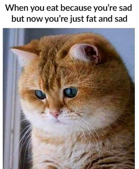 Memes & Satire image
