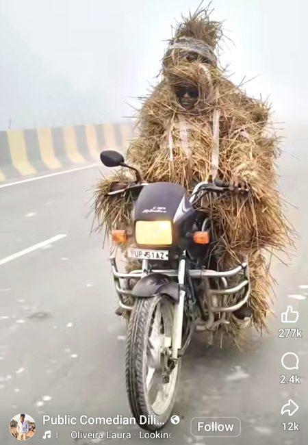 Memes & Satire image