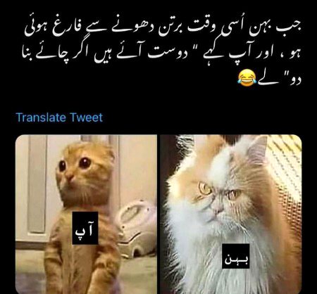 Memes & Satire image