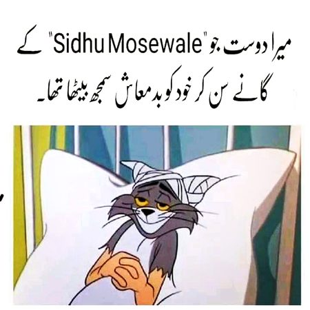 Memes & Satire image