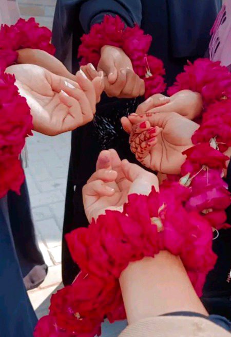 Beautiful Nature image