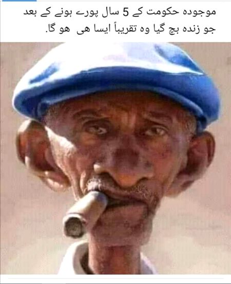 Memes & Satire image