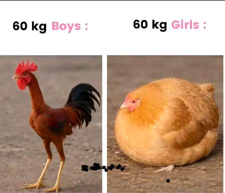 Memes & Satire image