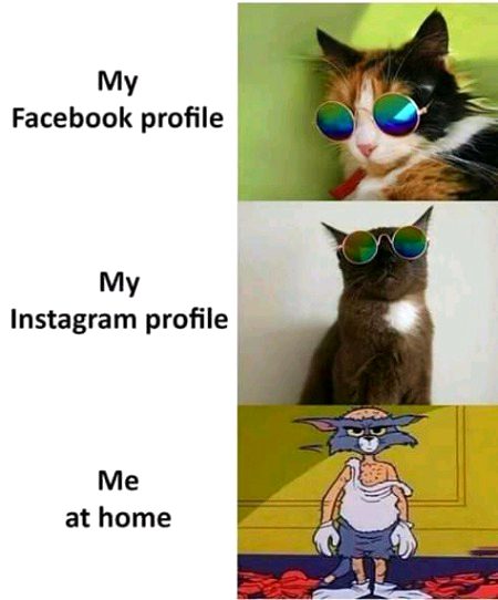 Memes & Satire image