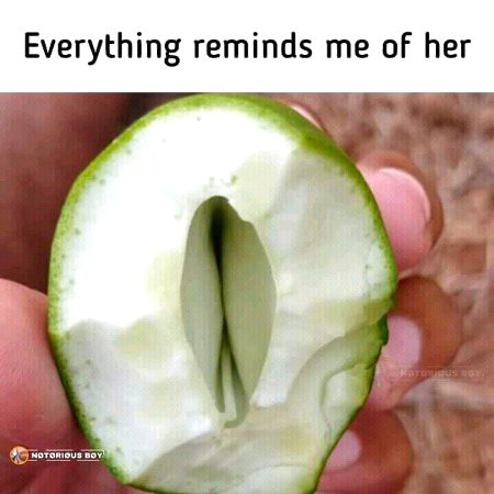 Memes & Satire image