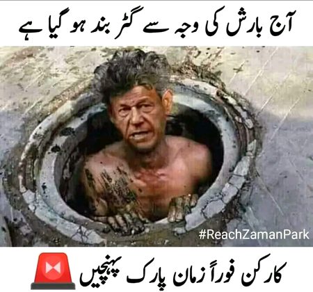 Memes & Satire image