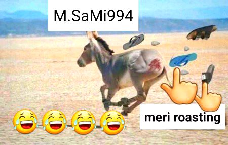 Damadam Roasting image