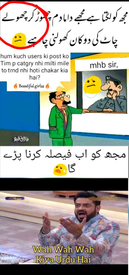 Damadam Roasting image