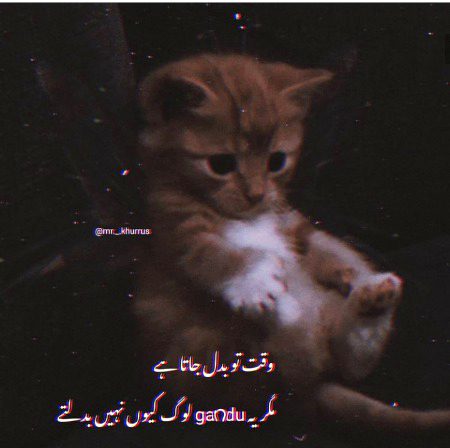 Sad Poetry image