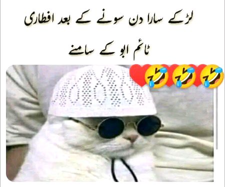 Memes & Satire image