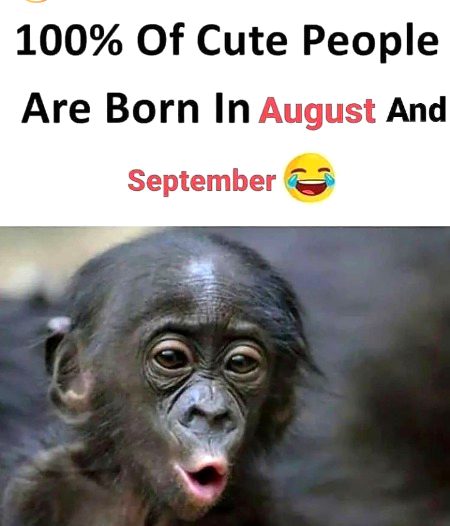 Memes & Satire image