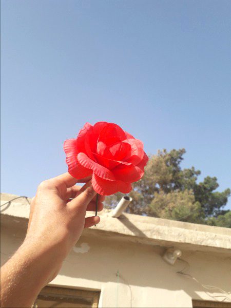 Beautiful Nature image