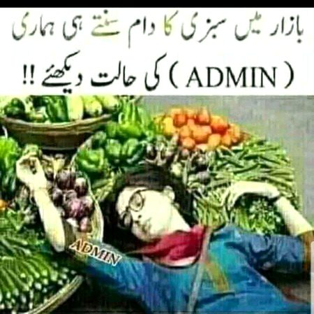 Memes & Satire image