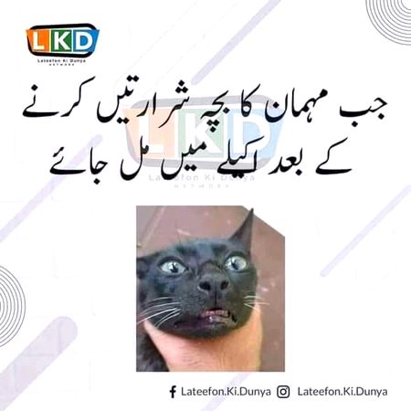 Memes & Satire image