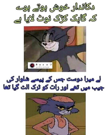 Memes & Satire image