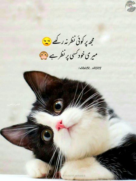 Jokes image