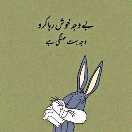 Life Advice image