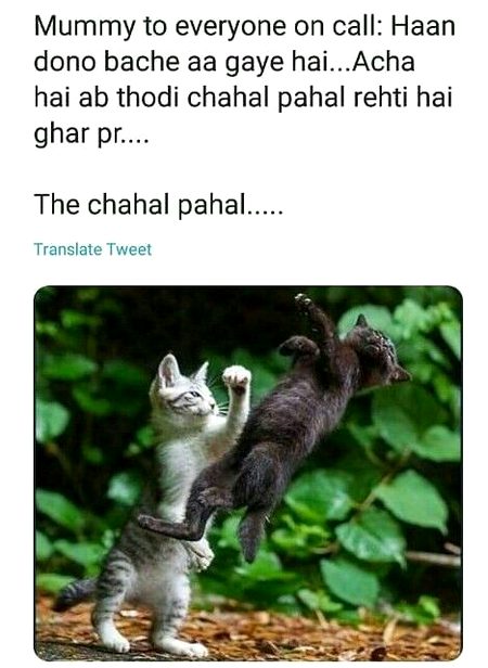 Memes & Satire image