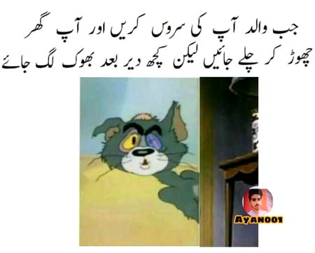 Memes & Satire image