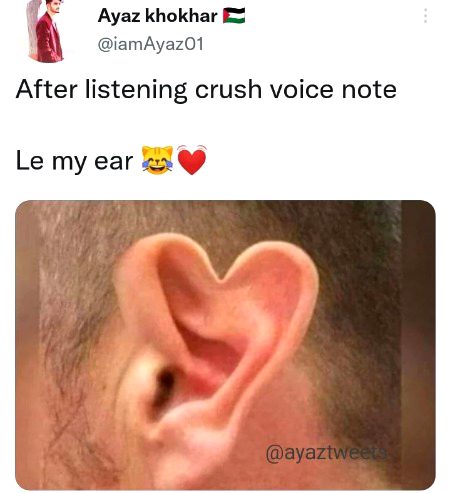 Memes & Satire image