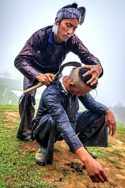 Memes & Satire image