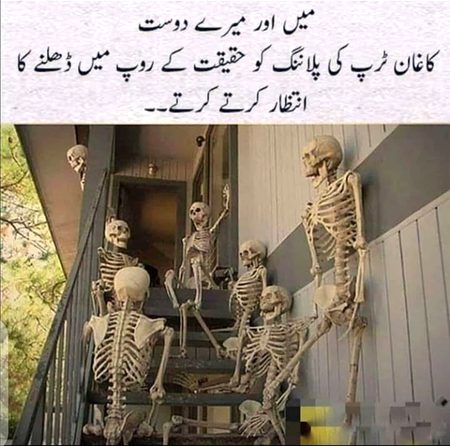 Memes & Satire image