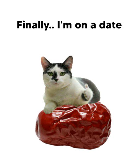 Memes & Satire image