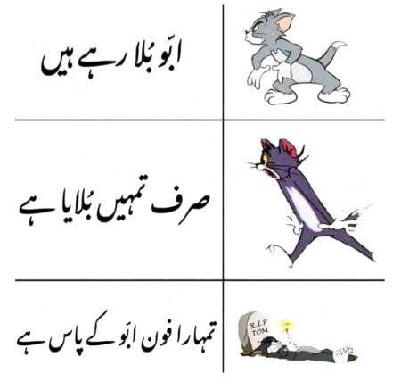 Memes & Satire image