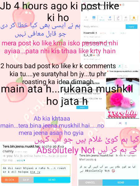 Damadam Roasting image