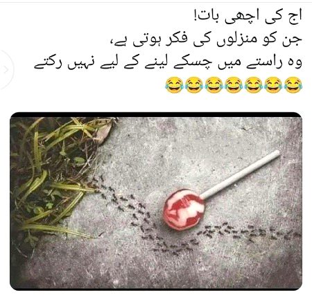 Memes & Satire image