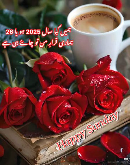 Romantic Poetry image