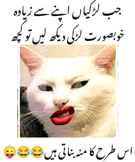 Memes & Satire image