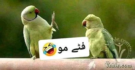Funny joke
