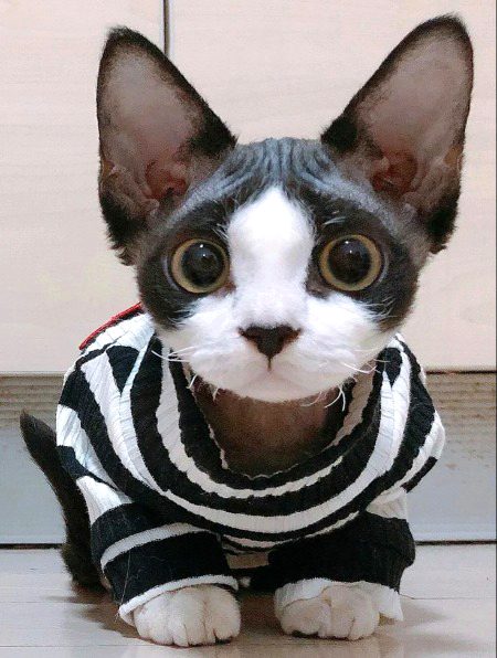 Beautiful Nature image