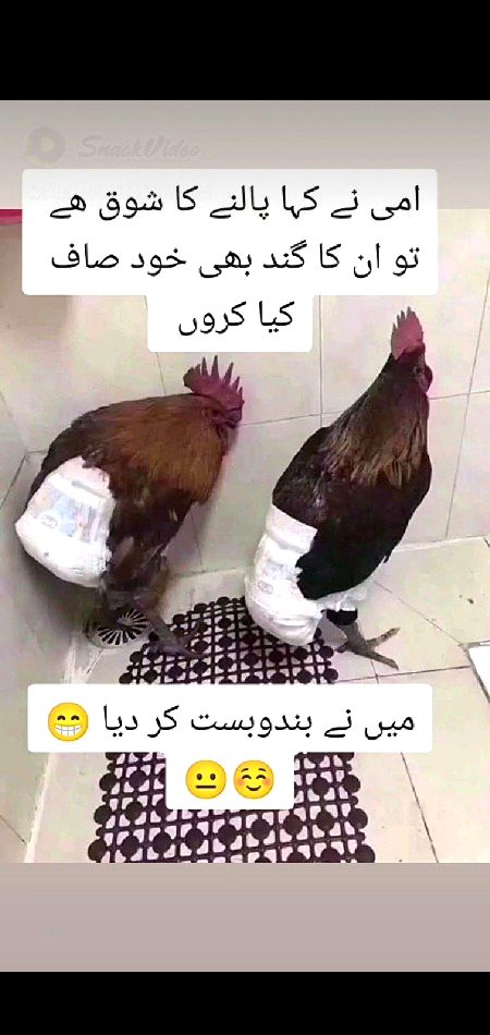 Memes & Satire image