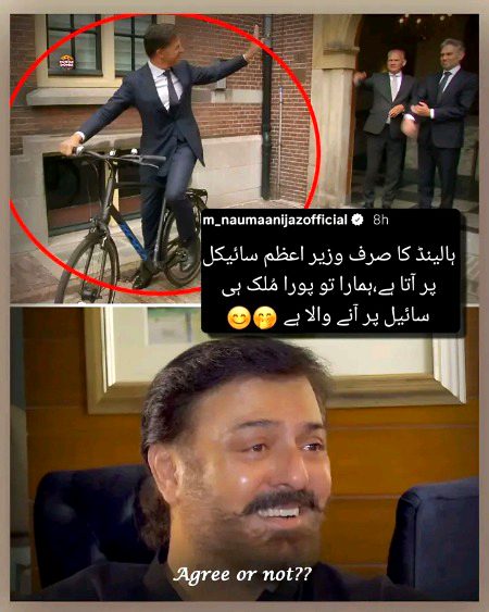 Memes & Satire image