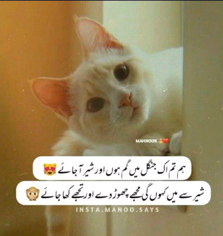 Jokes image
