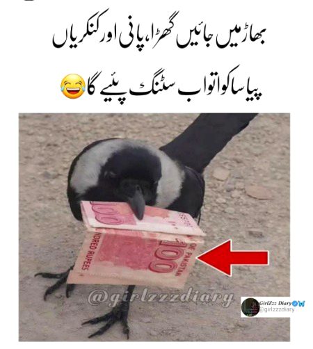 Memes & Satire image