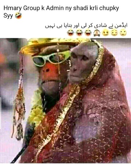 Memes & Satire image