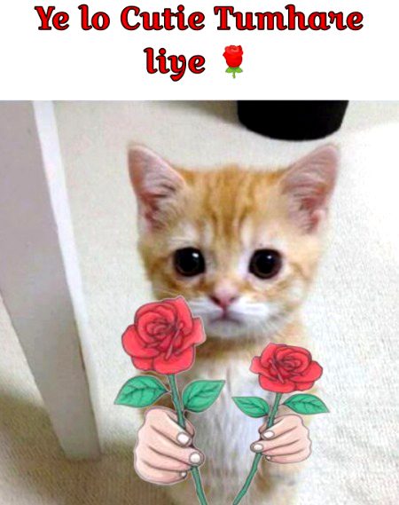 Jokes image