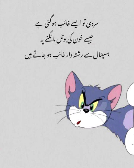 Memes & Satire image