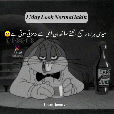 Memes & Satire image