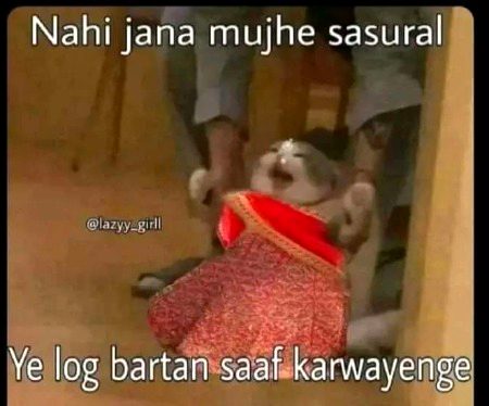 Memes & Satire image