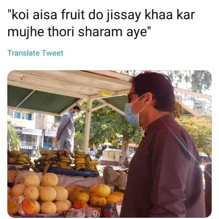 Memes & Satire image