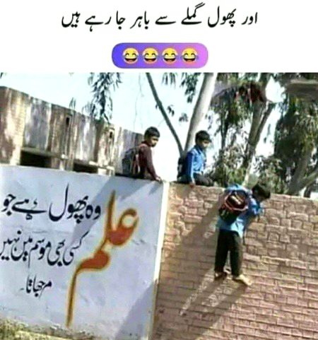 Memes & Satire image