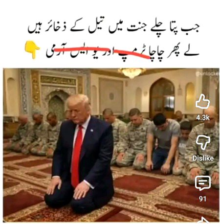 Memes & Satire image