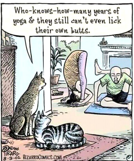 Funny joke