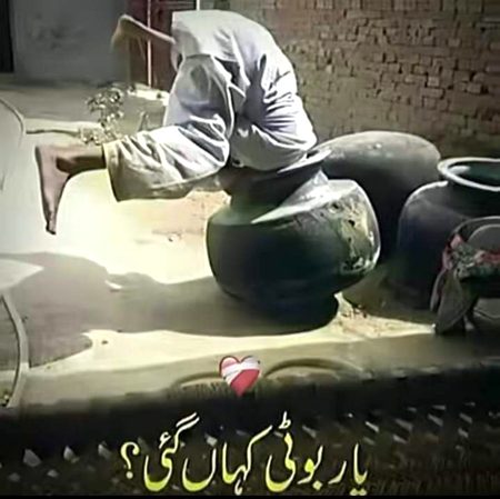Memes & Satire image